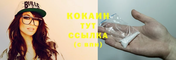 индика Горняк